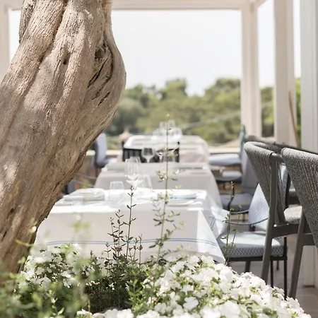 Hotel Canasta 4*