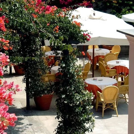 Canasta Hotel