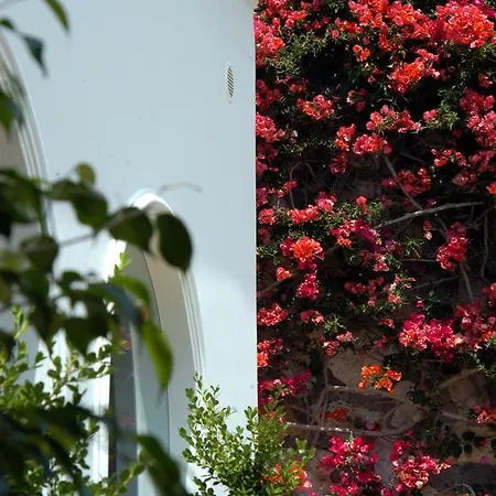 Hotel Canasta