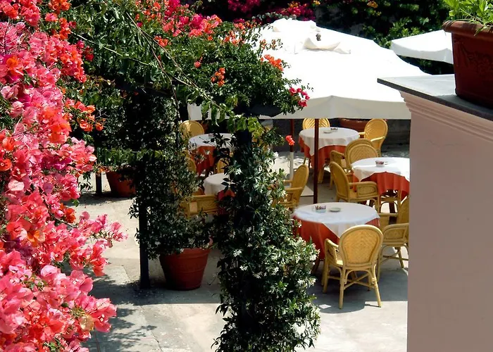 Canasta Hotel