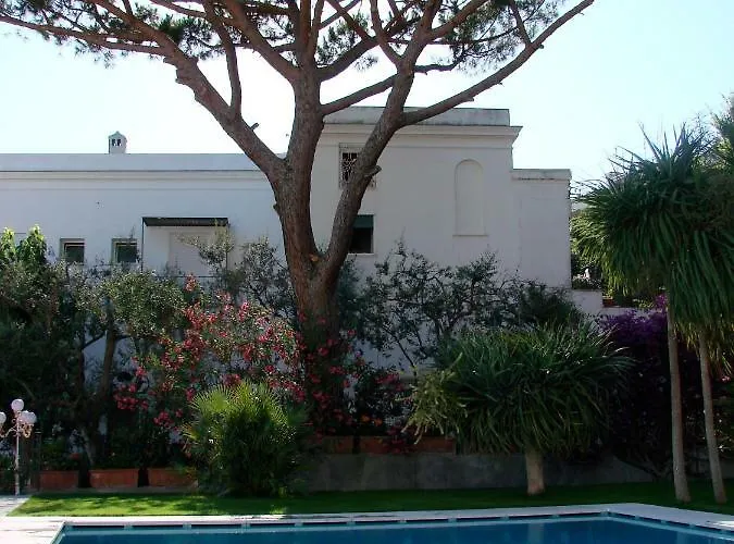 Canasta Hotel